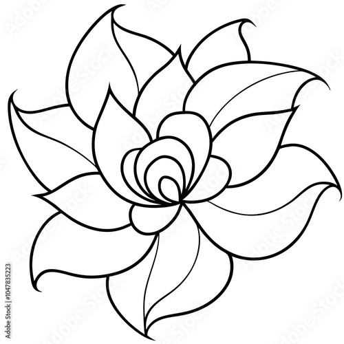 black and white flower