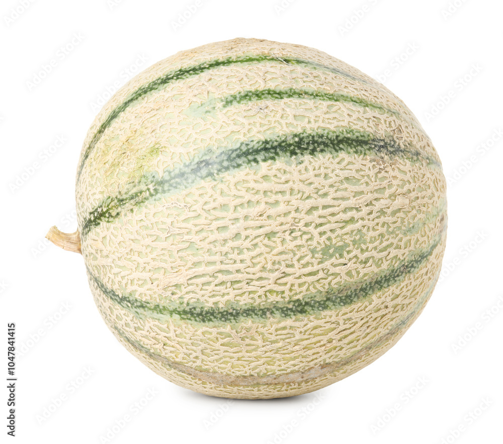 One whole Cantaloupe melon isolated on white One whole Cantaloupe melon isolated on white
