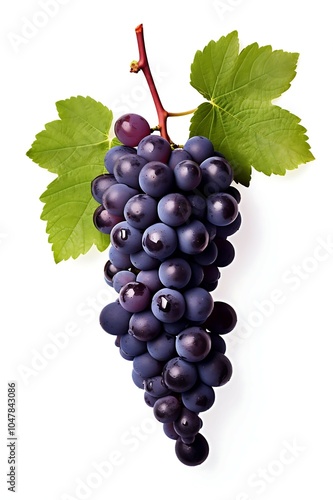 Grapes with leaf on white background, Fresh Grapes