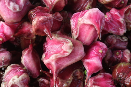 Bild auf Leinwand Water Chestnut Trapa natans fruit on shop