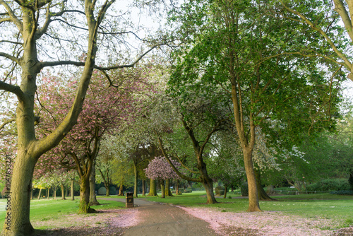 May in a Park in the UK 