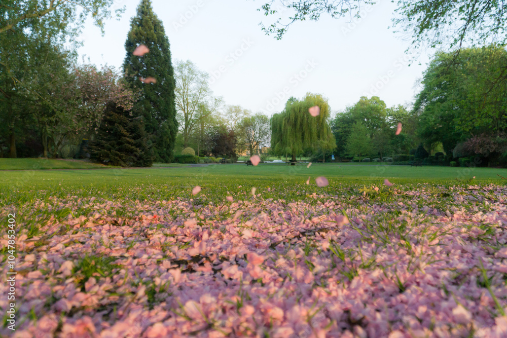 custom made wallpaper toronto digitalMay in a Park in the UK 