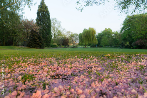 Wallpaper Mural May in a Park in the UK  Torontodigital.ca