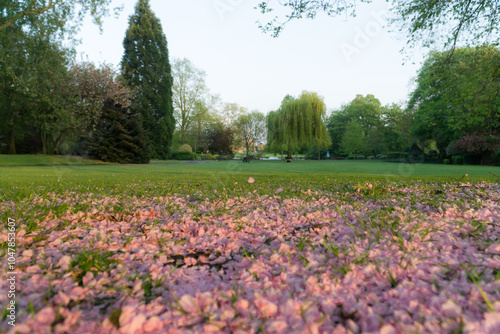 Wallpaper Mural May in a Park in the UK  Torontodigital.ca