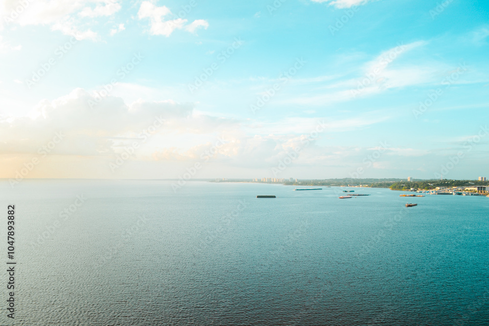 Obraz premium Manaus, Amazonas,Brazil, rio negro, black river