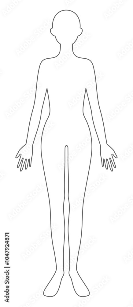 人体 線画 女性 人体 線画 女性