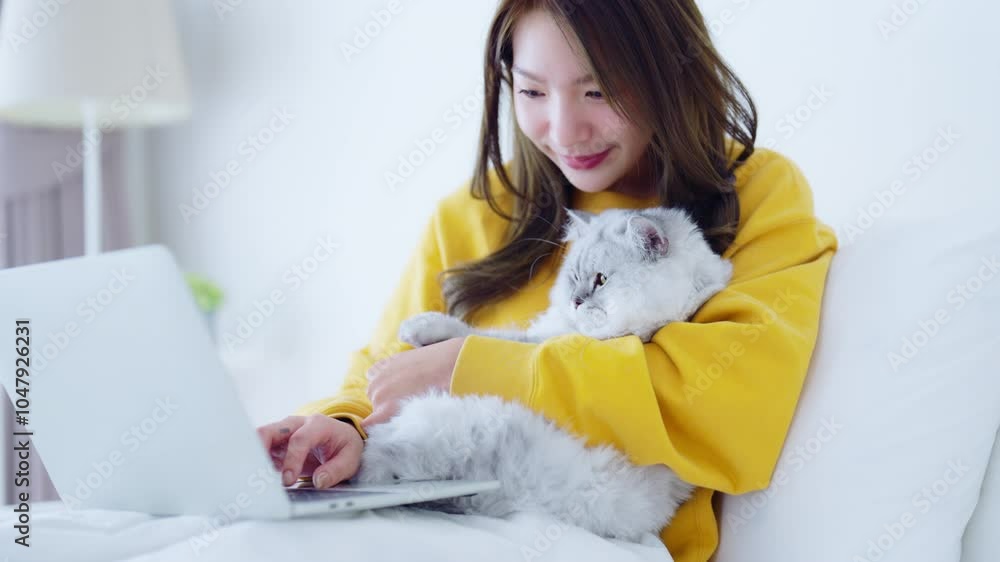 Portrait of young Asian woman holding cute cat. Female hugging her cute gray fluffy kitty. Adorable pet lover concept Portrait of young Asian woman holding cute cat. Female hugging her cute gray fluffy kitty. Adorable pet lover concept