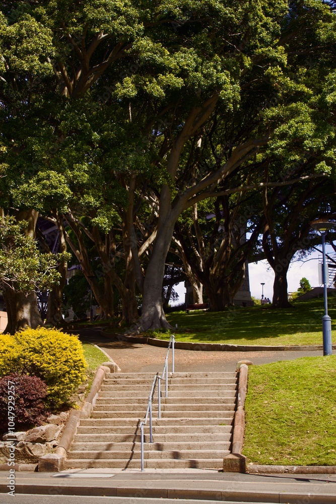 Obraz premium stone stairway to a park