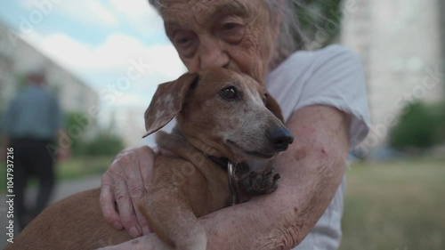 Happy senior woman holds a small dachshund dog in her arms, smiles hugs, presses and shows love to her pet on a bench in the park. Female 90 years old spends time with her best friend pet on street. photo