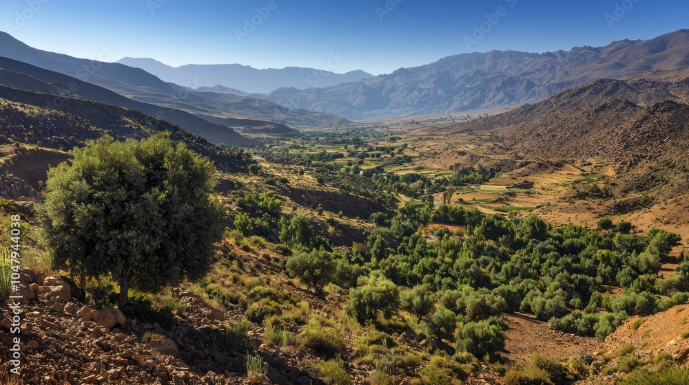 Naklejka premium Stunning Tropical Beach View