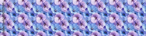 Seamless pattern of purple and blue morning glory flowers in full bloom