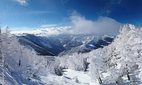 Wallpaper Mural A snowy mountain landscape with trees covered in frost under a clear blue sky. Torontodigital.ca