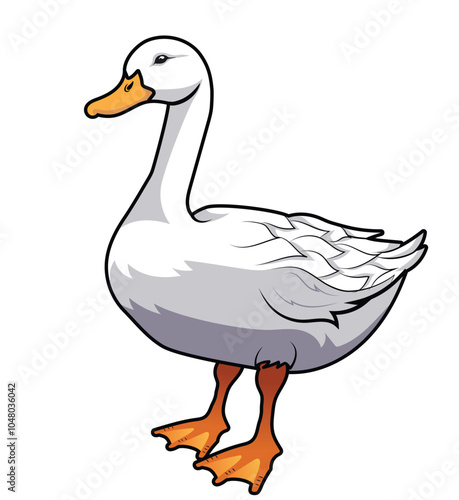 animal white duck