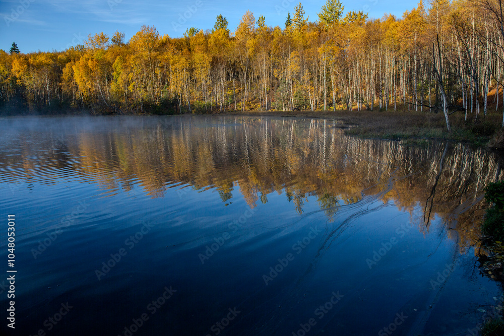 Obraz premium autumn trees reflected in water