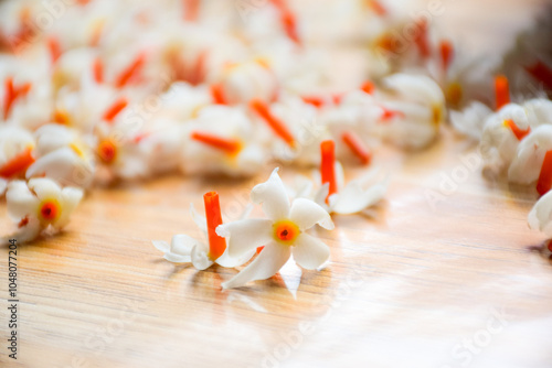 Parijat flowers, also known as Nyctanthes arbor-tristis or Night-flowering Jasmine, arranged on a wooden floor. photo