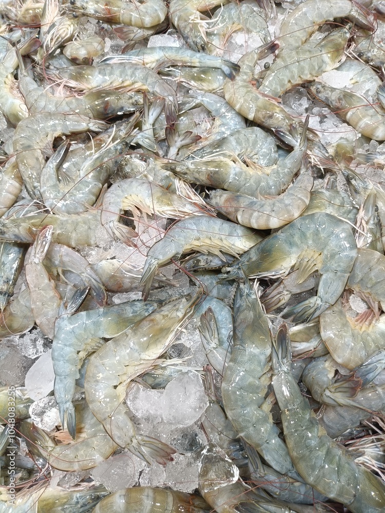pacific white shrimp with in for fresh before cooking pacific white shrimp with in for fresh before cooking
