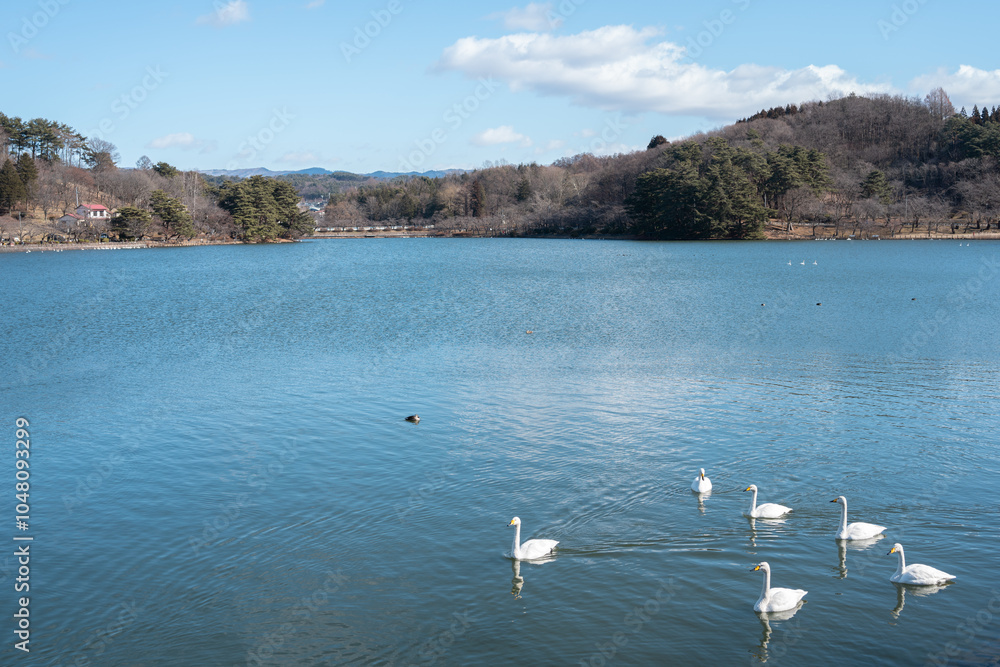 Takamatsu Pond in Morioka, Iwate, Japan