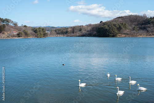 Obraz na płótnie Takamatsu Pond in Morioka, Iwate, Japan w salonie