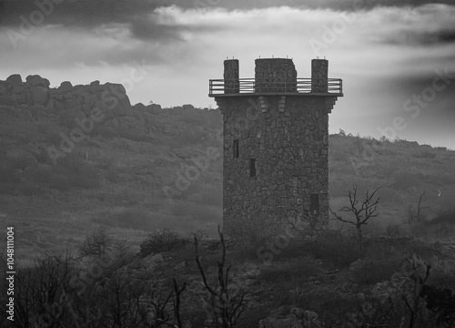 Jed Johnson Tower photo