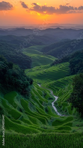 A stunning view of lush green rice terraces at sunset, creating a mesmerizing pattern across the landscape with a gentle river flowing through the valleys.