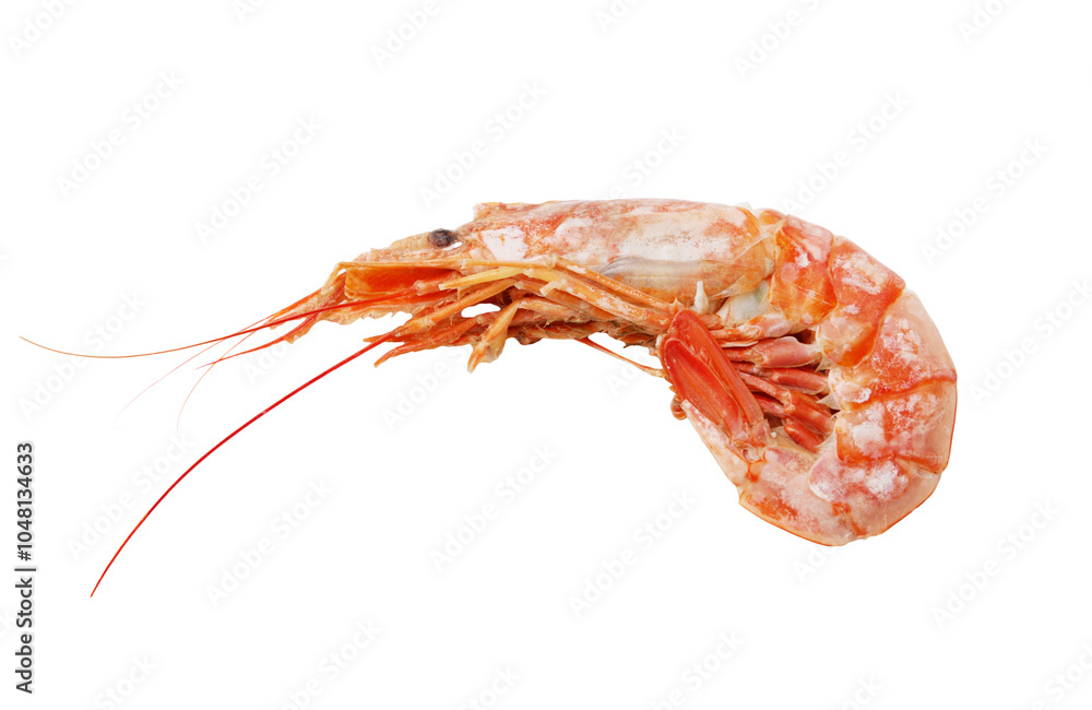 A shrimp is shown on a white background A shrimp is shown on a white background