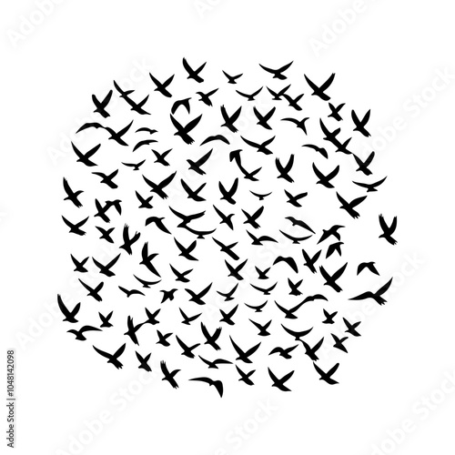 Bird migration