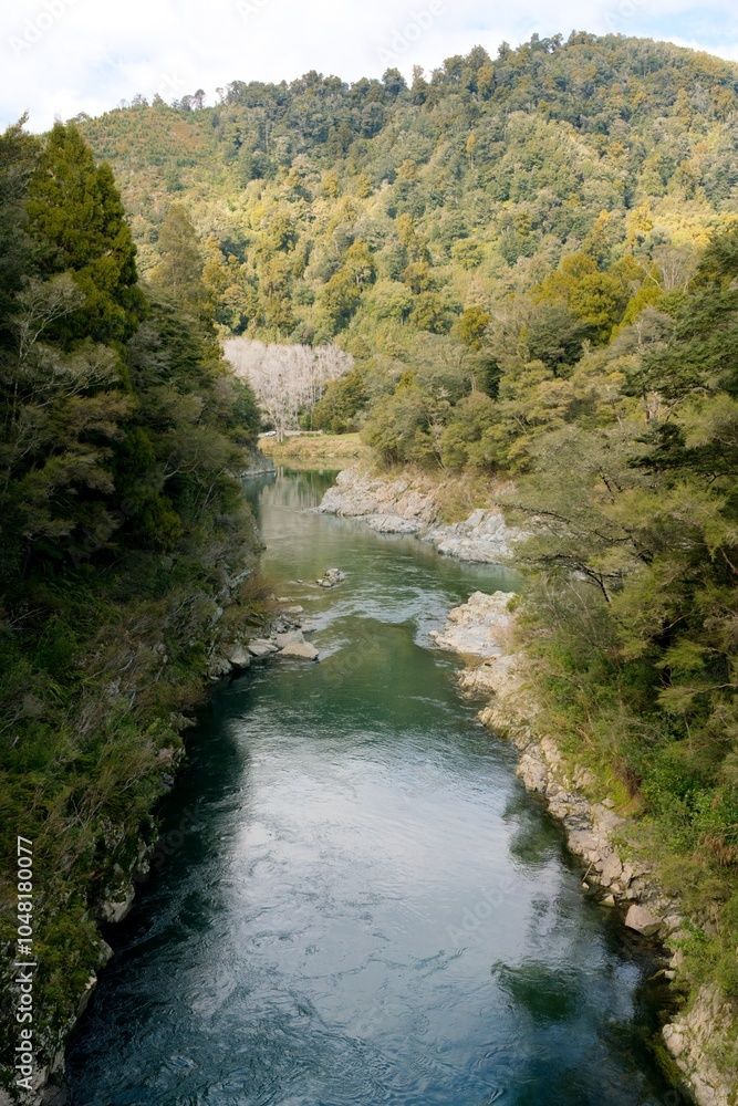 Captivating View of the Te Hoiere River in New Zealand's Scenic Landscape Captivating View of the Te Hoiere River in New Zealand's Scenic Landscape