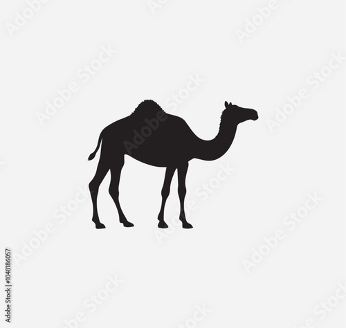 Camel vector graphic 