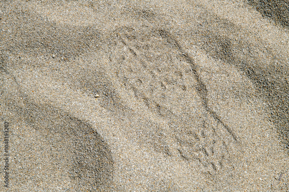 shoe print in the sand shoe print in the sand