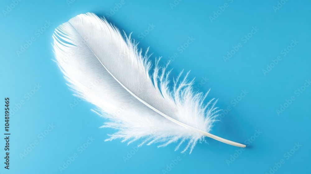 Fototapeta premium White Feather Floating on Blue Background