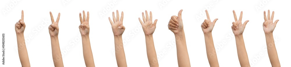 PNG of Closeup Beautiful female hand count from one to nine gestures Isolated on blank white background. Set of woman palms raised fingers gesture numbers concept for people thumbnail. transparent png PNG of Closeup Beautiful female hand count from one to nine gestures Isolated on blank white background. Set of woman palms raised fingers gesture numbers concept for people thumbnail. transparent png