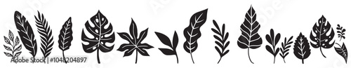Set of Tropical leaves. Collection black leaves palm, fan palm, banana leaves. Nature leaves collection. Vector illustration.