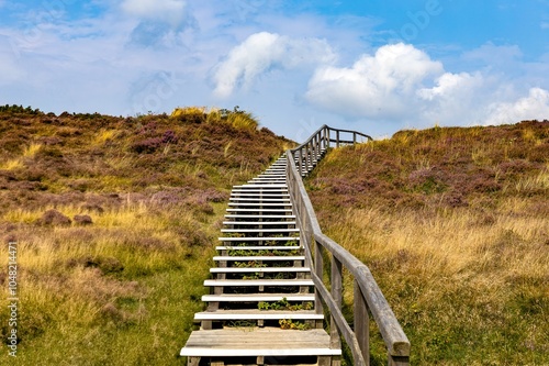 Obraz na płótnie
Staircase through the nature conservation landscape of the dunes on Sylt w salonie