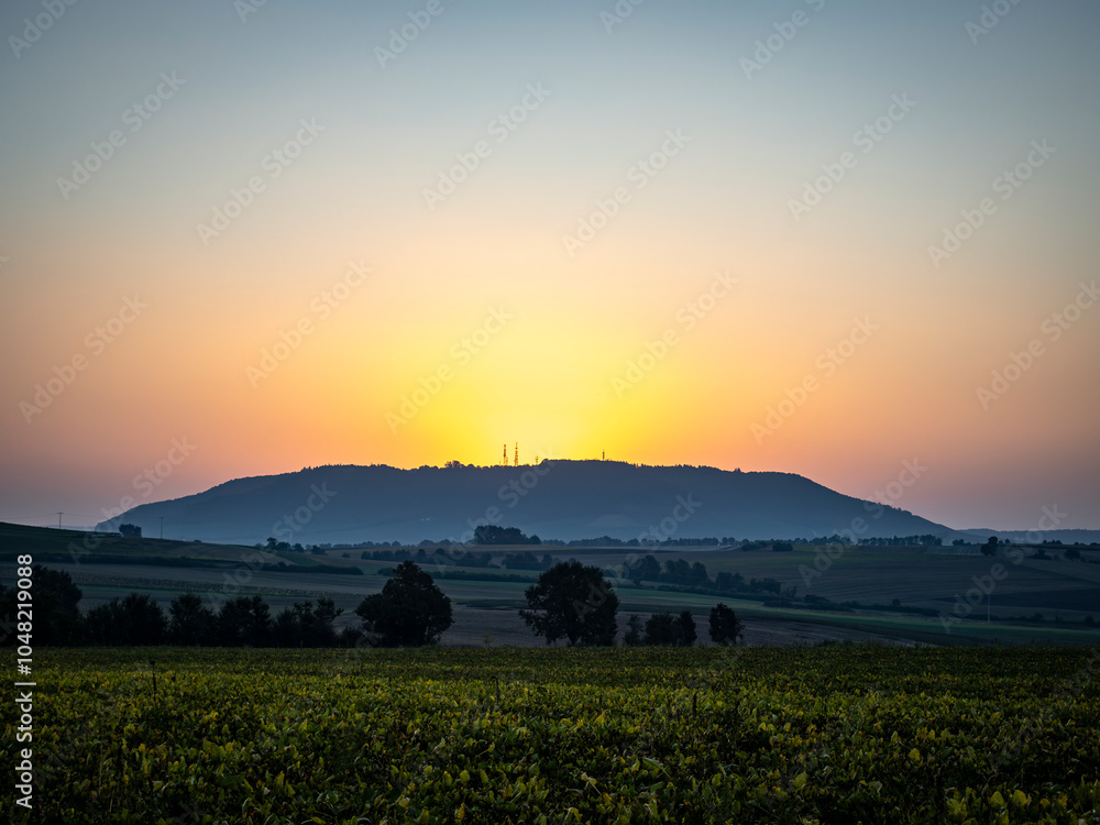 Obraz premium sunset over the field