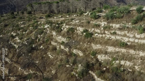 Aerial video over hakdoshim forest Israel photo