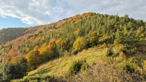 Cévennes, lever de soleil et brume