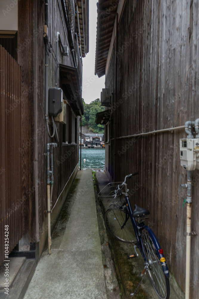 Ine Fishing Village, is famous for its unique funaya, or boat houses. These wooden buildings sit right on the water and serve as both dock and home for the fishermen