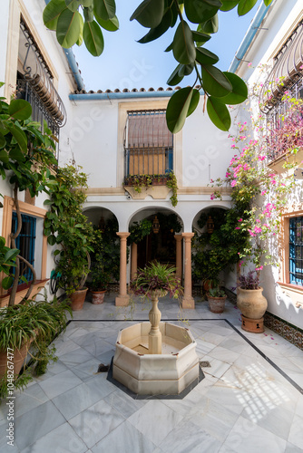 Patio tradicional andaluz con fuente central, rodeado de paredes blancas con arcos y rejas decorativas. Plantas y flores en macetas aportan color y frescura. Ambiente sereno y elegante. Córdoba photo