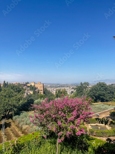 Jardines de la Alhambra photo