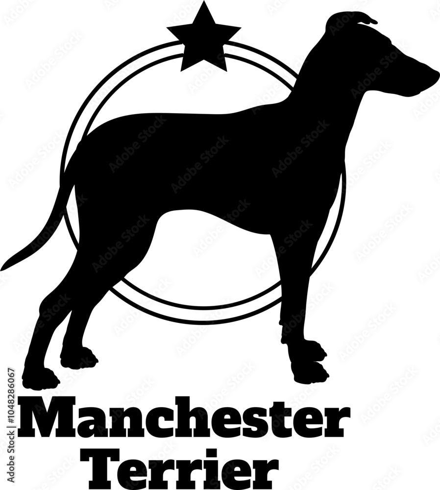 Manchester Terrier. dog silhouette, dog, dog breeds, logo, vector, silhouette, logo design, animal, illustration, icon, sign, design, black, symbol, pet Manchester Terrier. dog silhouette, dog, dog breeds, logo, vector, silhouette, logo design, animal, illustration, icon, sign, design, black, symbol, pet
