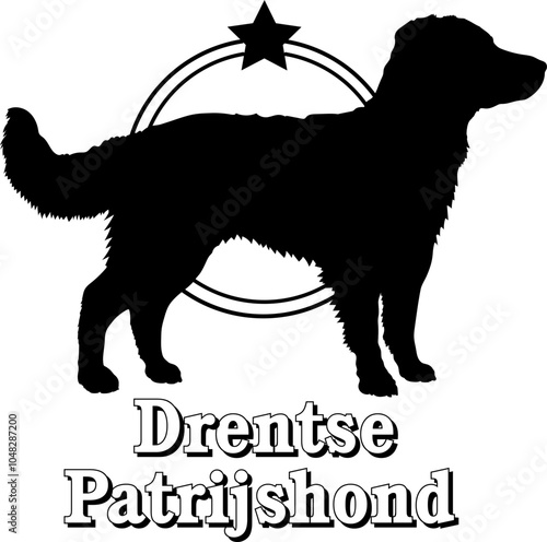 Drentse Patrijshond. dog silhouette,  dog, dog breeds, logo, vector, silhouette, logo design, animal, illustration, icon, sign, design, black,  symbol, pet photo