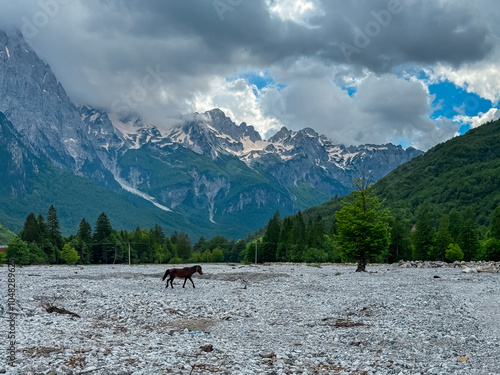 Wild horse on dried riverbank with vista on majestic mountain massif Zhaborret, Albanian Alps (Accursed Mountains), Valbone Valley National Park, Northern Albania. Scenic hiking trail Valbona to Theth photo