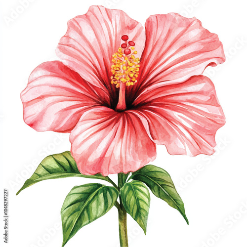 Heater flower watercolor clipart illustration