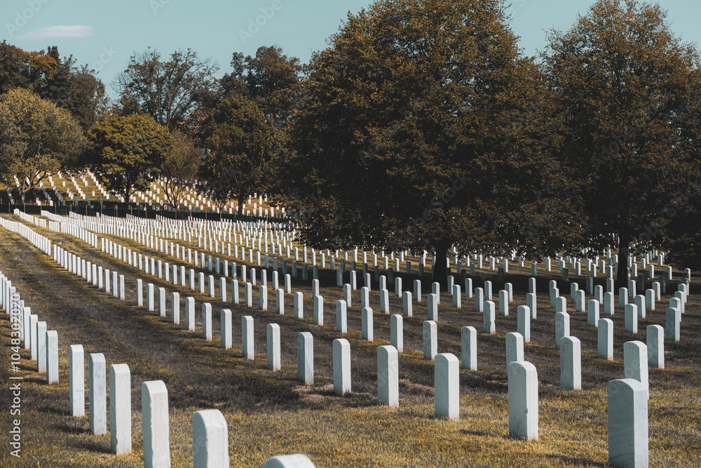 Serene Military Cemetery Landscape Serene Military Cemetery Landscape