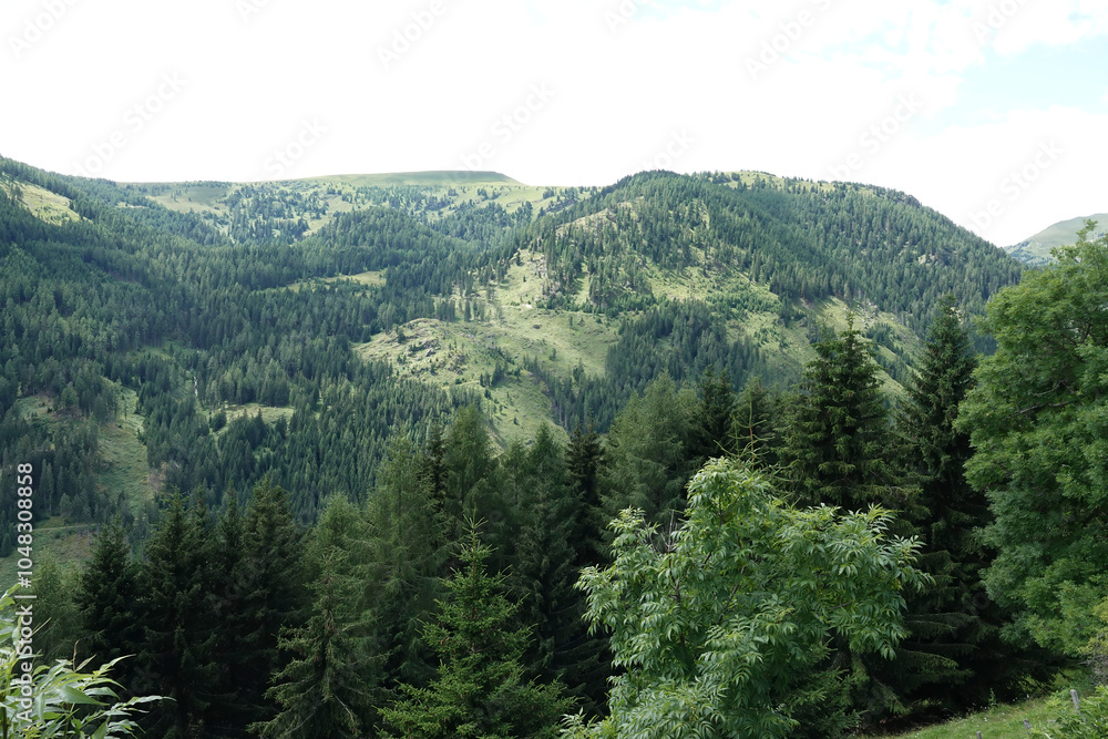 Fototapeta premium Lush Green Mountainous Landscape with Dense Forest