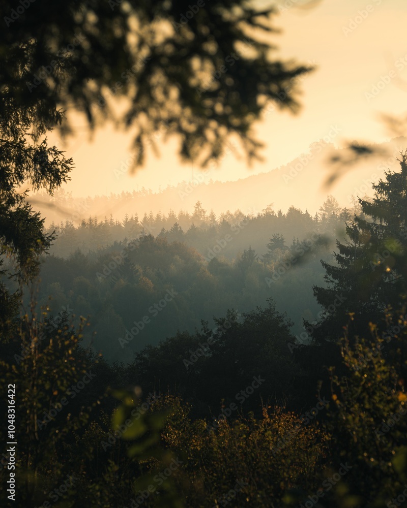 Fototapeta premium Serene forest landscape at dawn with misty hills and silhouetted trees in a tranquil atmosphere