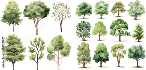 set of trees isolated
