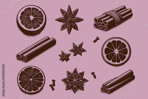 Spices and herbs set: star anise, cinnamon, dry orange, cloves. For mulled wine. Engraving hand drawn vector illustration, icons, cat ut. Pink background