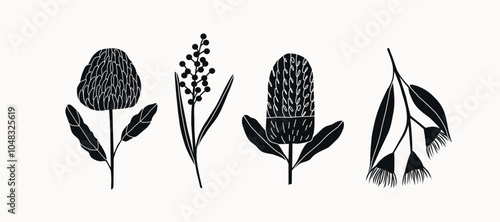 Flat vector Australian flowers. Waratah, wattle, banksia, eucalyptus