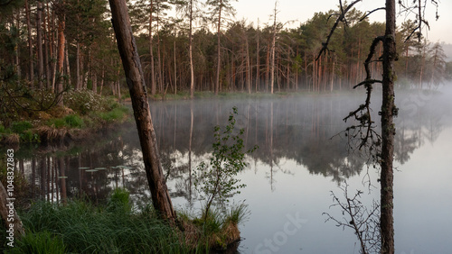 sunrise, sunset landscape by the marsh lake, morning fog, reflections in the water, traditional marsh lake vegetation